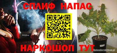 трава Сланцы