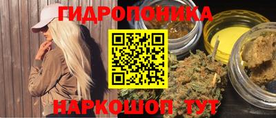 трава Сланцы
