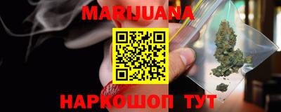 сатива Славгород