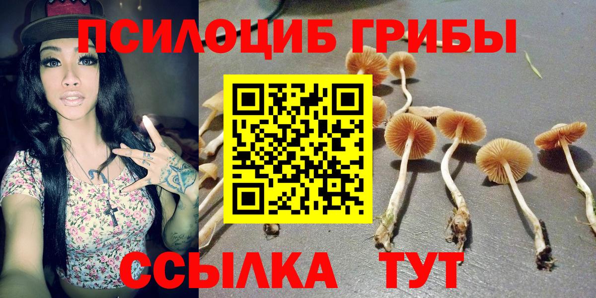 купить наркотик  Вход с VPN  Полевской  Галлюциногенные грибы ЛСД 